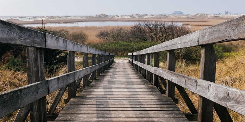 云计算时代商业咨询的变革路径：企业战略规划如何借力云端创新