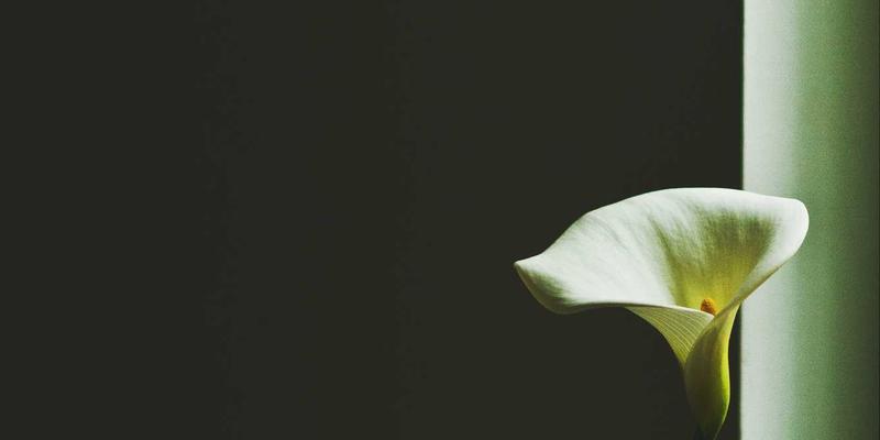 企业咨询与运营优化双轮驱动:鸿运商务如何助力企业突破增长瓶颈