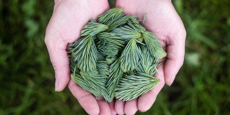 企业数字化转型中的组织架构重塑：商务咨询服务如何成为关键引擎