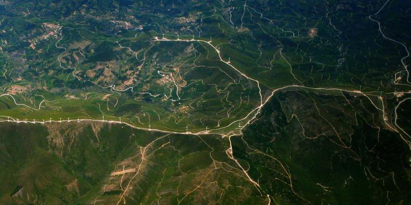 商务服务100：企业咨询如何驱动商业增长与战略转型