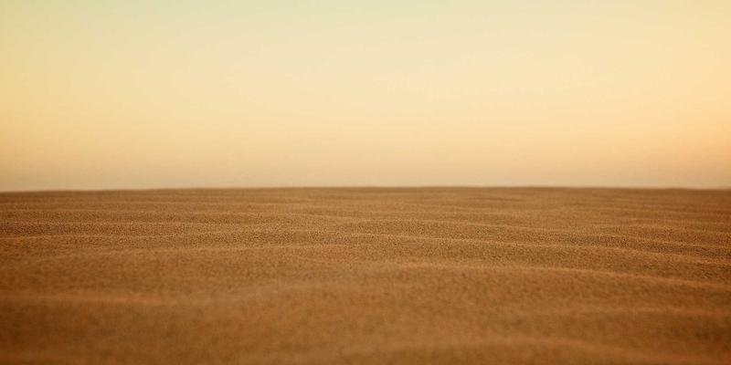 战略规划与运营优化：绿色商务服务如何成为企业可持续发展的核心引擎