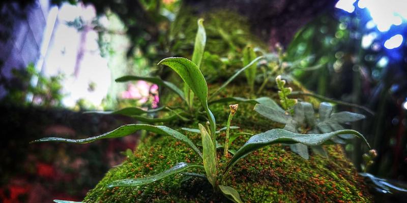 虚拟办公室与注册地址服务：鸿运商务助力企业轻资产运营的合规与形象双赢