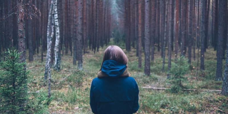 运营优化与战略规划：驱动现代商务服务97时代增长的双引擎