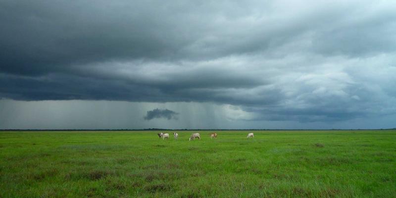 运营优化与鸿运商务：专业商务服务如何助力企业赢得政府项目投标