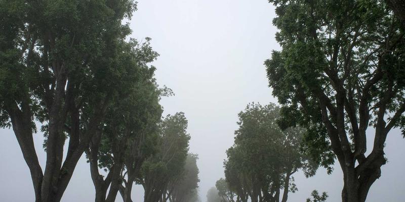 高端商务服务如何赋能跨国企业本土化战略：运营优化与企业咨询的关键角色