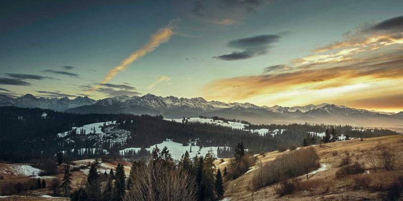 鸿运商务：专业商务服务与企业咨询如何赋能现代企业高质量发展