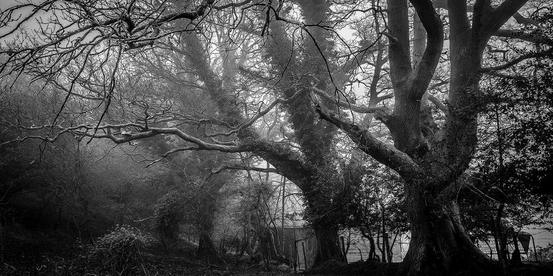 鸿运商务:专业商务服务与企业咨询如何赋能现代企业高质量发展