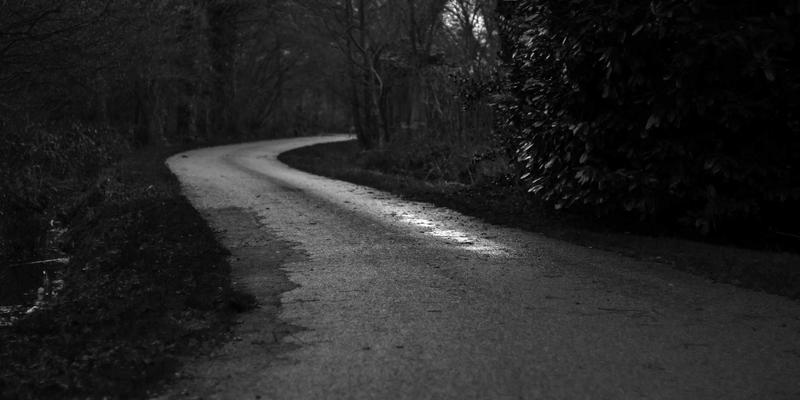 鸿运商务：专业运营优化如何重塑企业竞争力