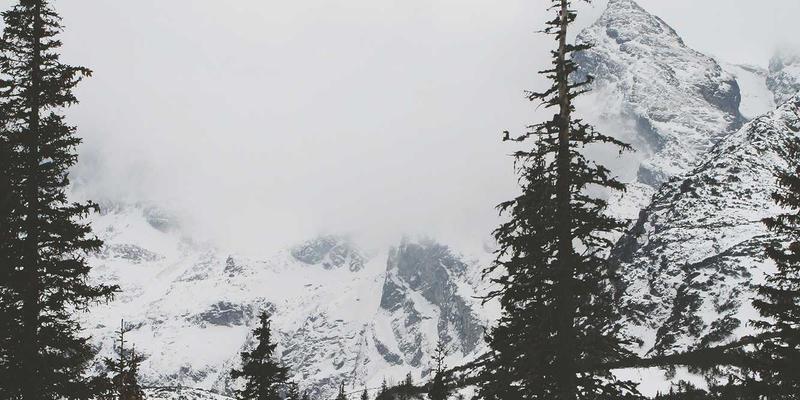 鸿运商务：以专业商业咨询与运营优化，赋能企业高质量发展