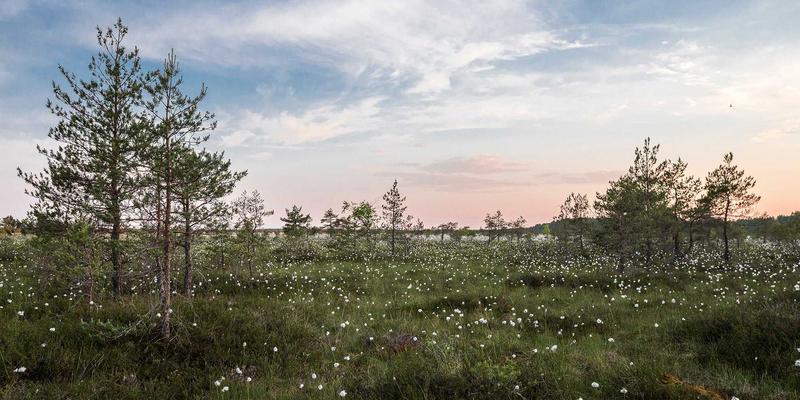 鸿运商务：以运营优化与战略规划驱动企业长效增长