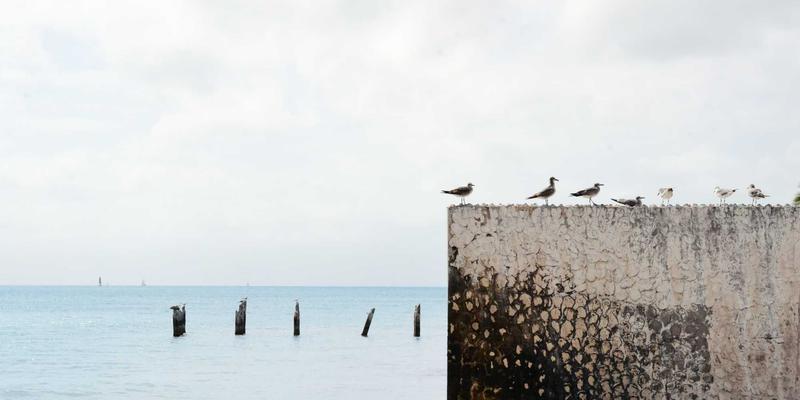 鸿运商务:掌握运营优化核心,打造卓越商务服务最佳实践