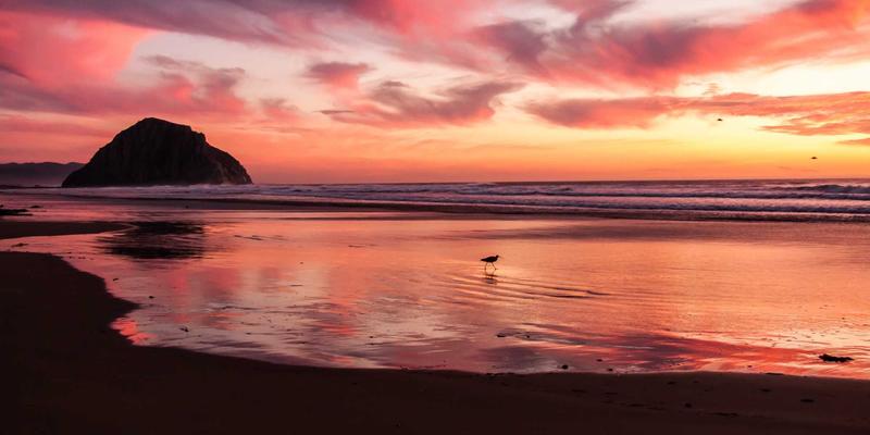 鸿运商务：构建商业秘密与知识产权保护体系，赋能企业运营优化与商业咨询